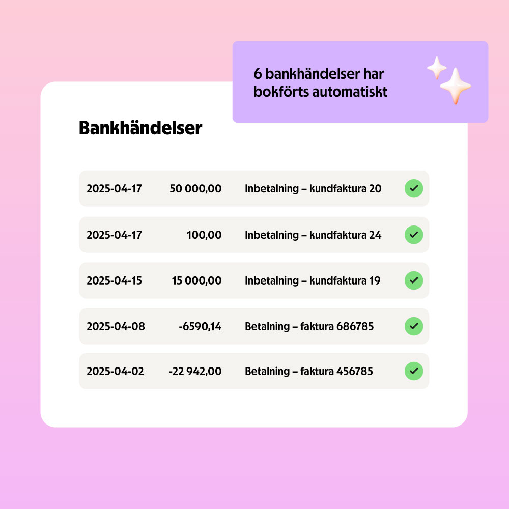 Skärmdump från bokföringsprogrammet Spiris.