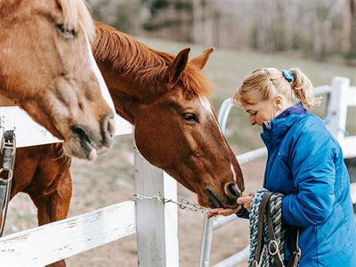 Starta eget som pensionär