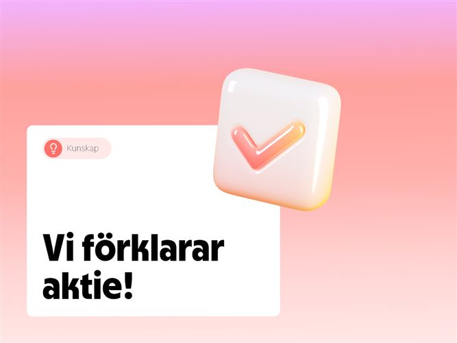 Vi förklarar aktie