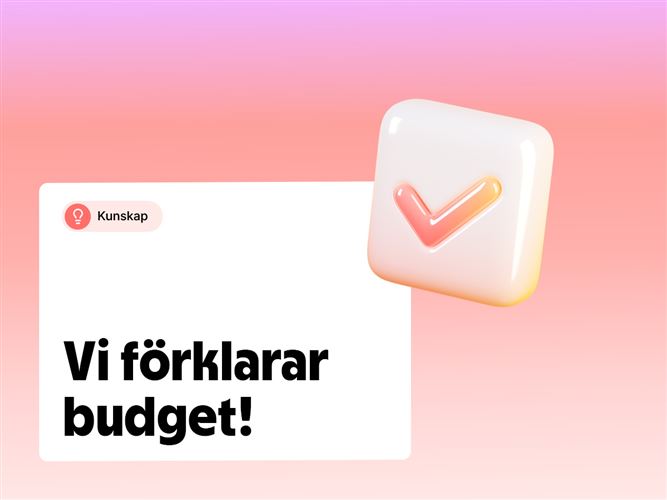 Vi förklarar budget.