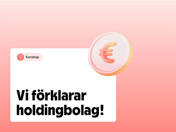 Vi förklarar holdingbolag