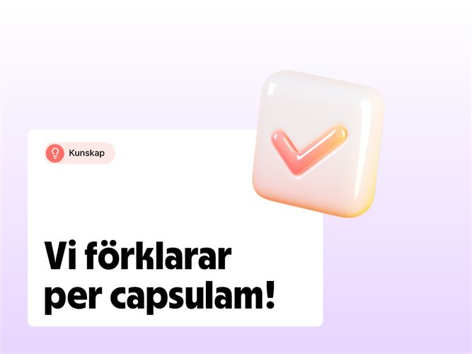 Vi förklarar per capsulam!