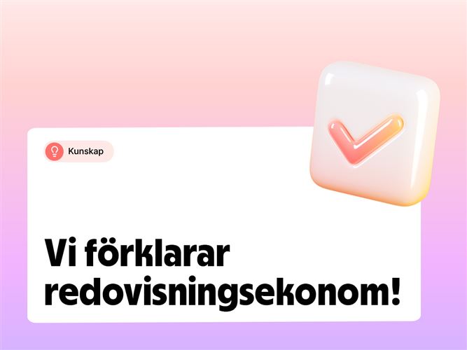 Vi förklarar begreppet redovisningsekonom.