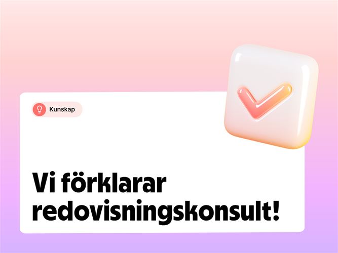 Vi förklarar vad en redovisningskonsult gör.