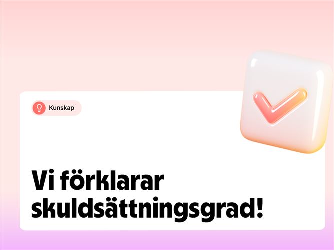 Vi förklarar begreppet skuldsättningsgrad.