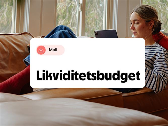 En företagare som jobbar med likviditetsbudgeten på datorn.