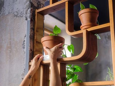 Socialt företagande - med fokus på människor och samhälle