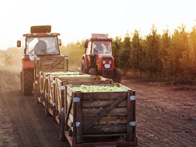 7 tips för ett hållbart företagande