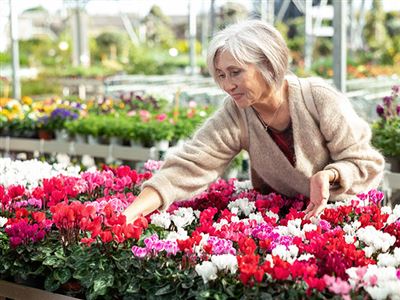 Direktpension utan försäkring – så pensionssparar du smartare!