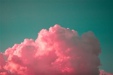 Vad är greenwashing och hur undviker du det?