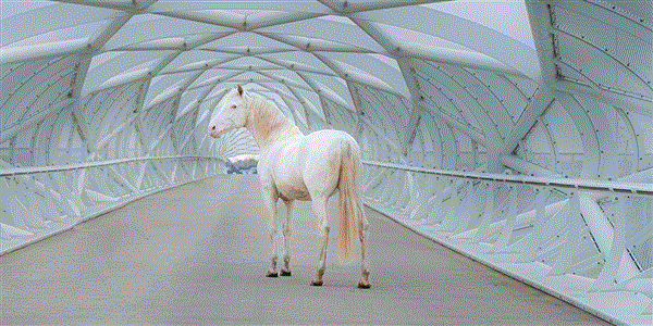 Nyheter deklaration 2024 – detta måste företagaren veta!