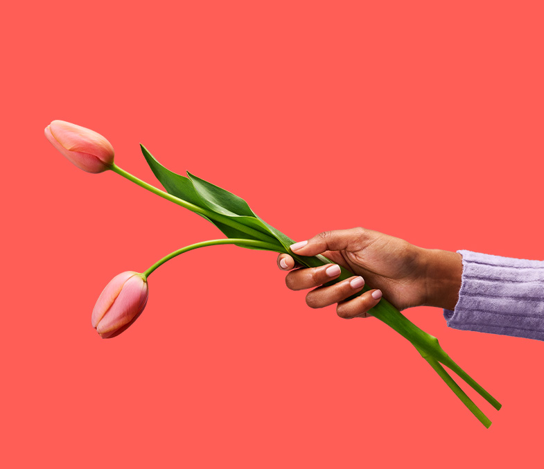 Tulpaner i hand.