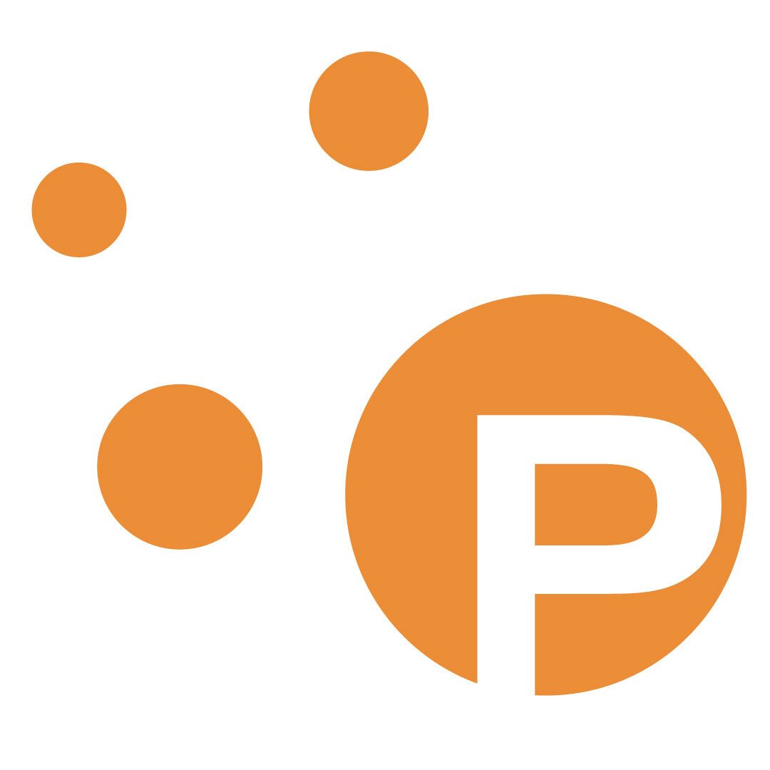 Logotype Payson.